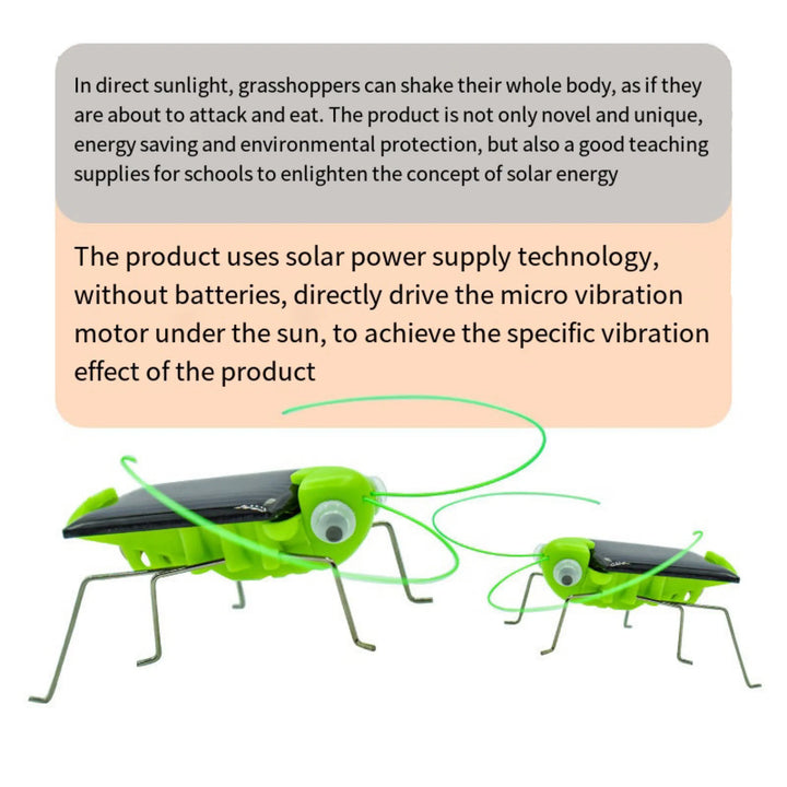 Solar Grasshopper Toy Puzzle