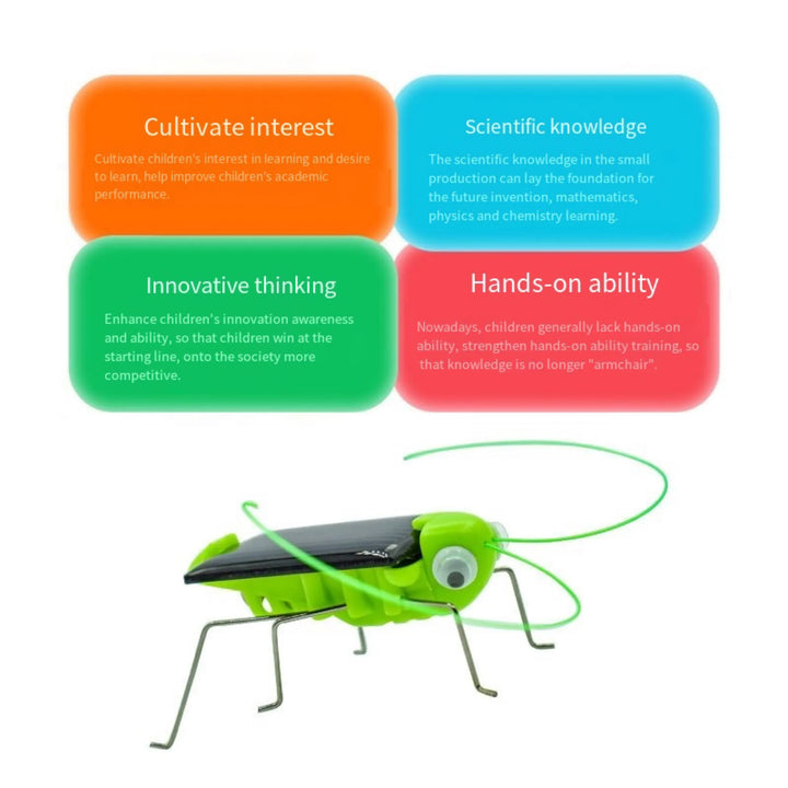 Solar Grasshopper Toy Puzzle