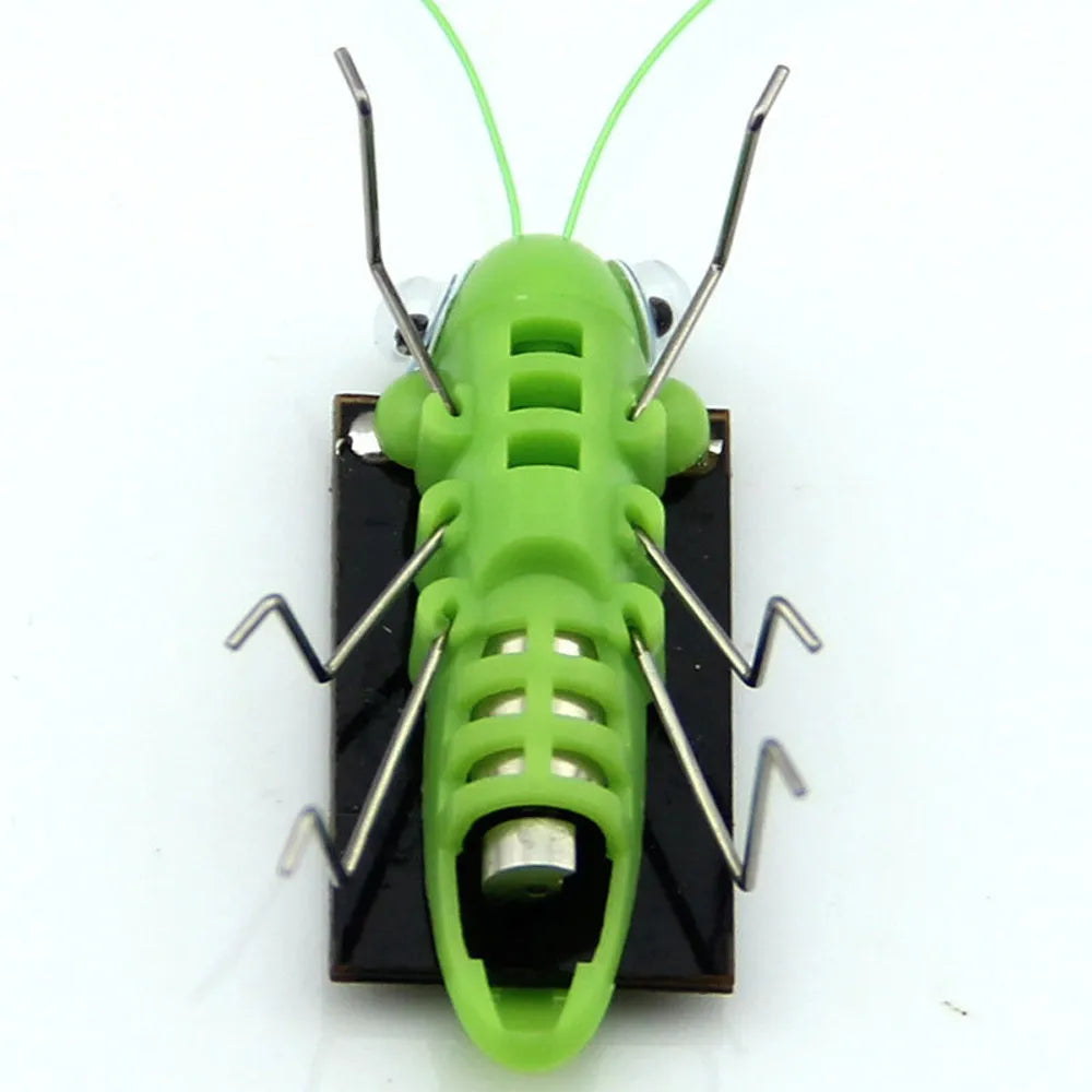 Solar Grasshopper Toy Puzzle