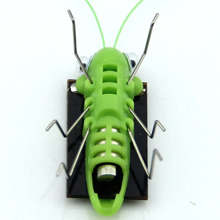 Solar Grasshopper Toy Puzzle